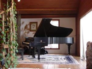 Steffenwolf Steinway D